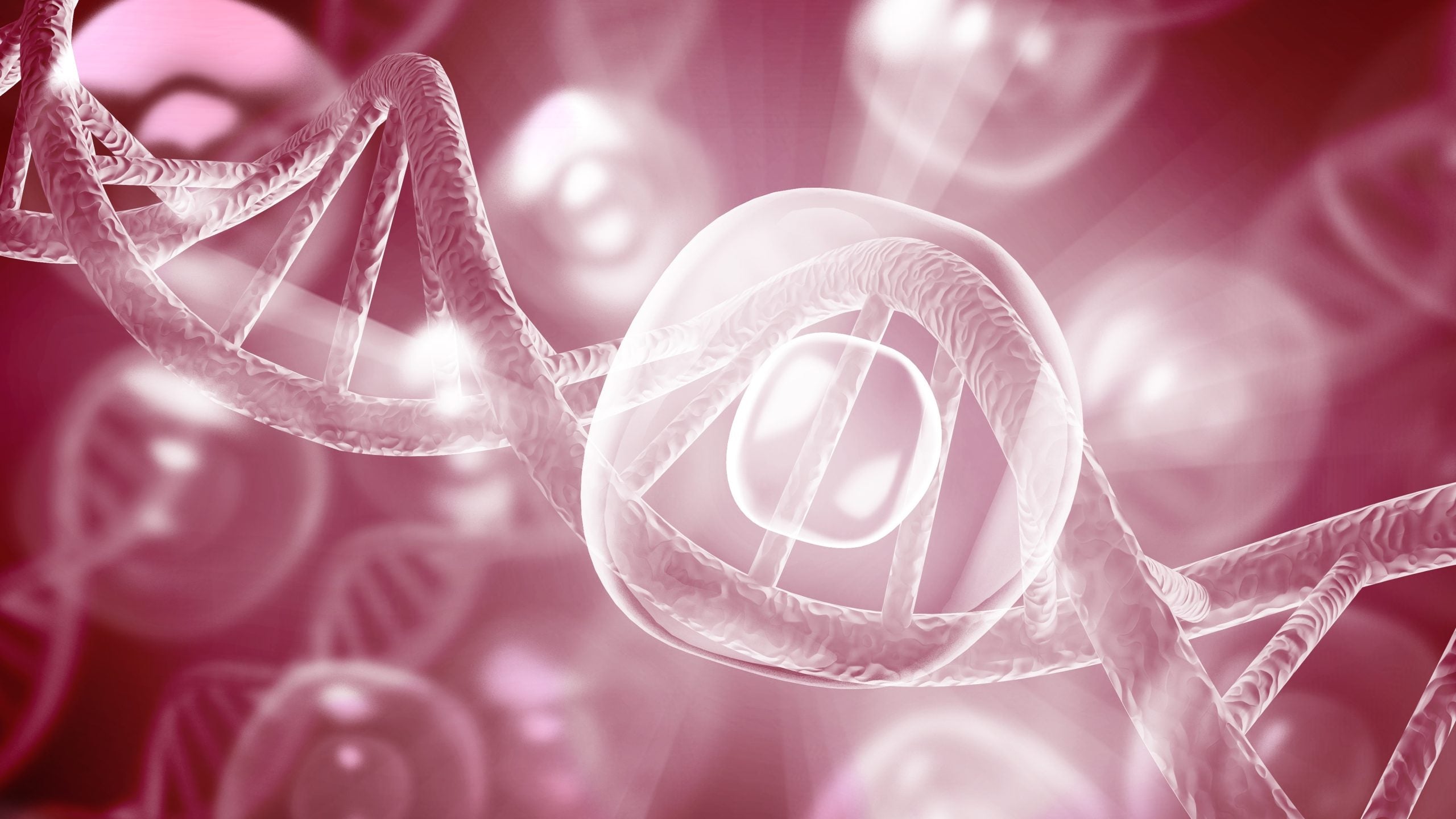 How This Molecule Prevents Aging And Disease – Mark Hyman, MD
