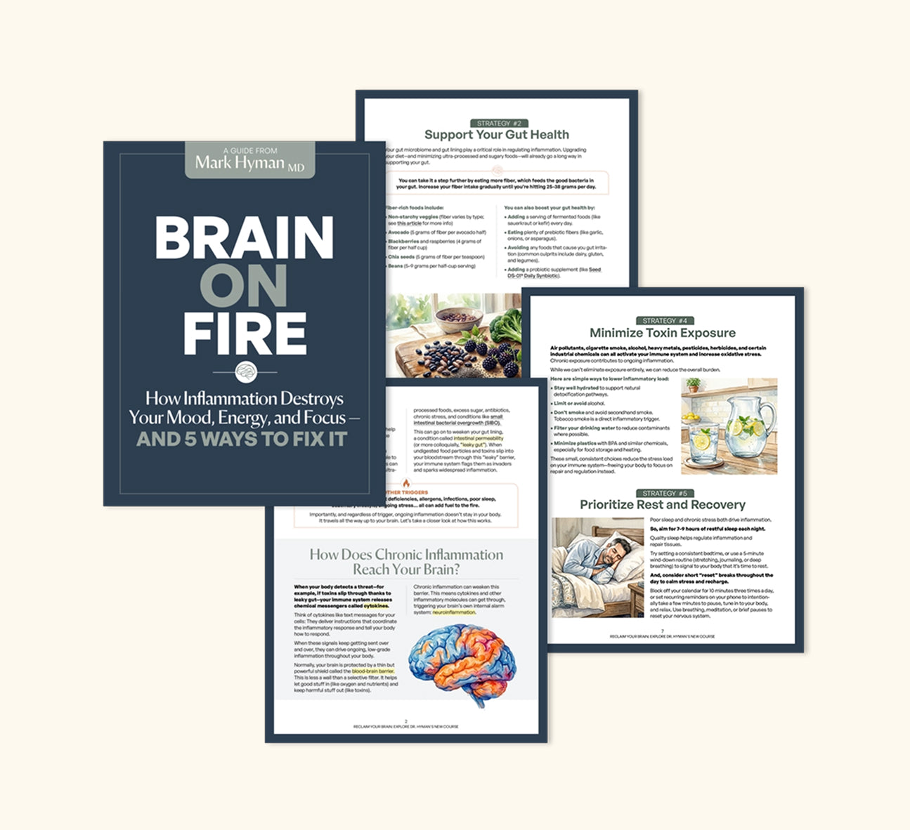 Brain on Fire: How Inflammation Destroys Your Mood, Energy and Focus—and 5 Ways to Fix It