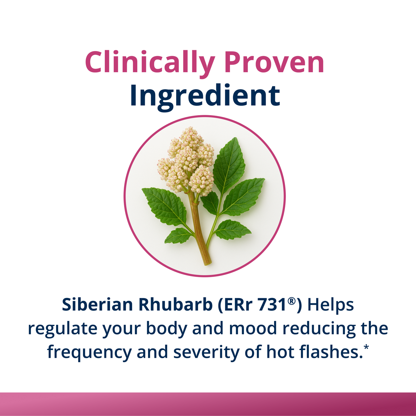 Estrovera® Perimenopause & Menopause Relief