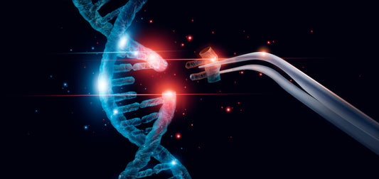 How Reprogramming Our Genes Can Extend Our Lives