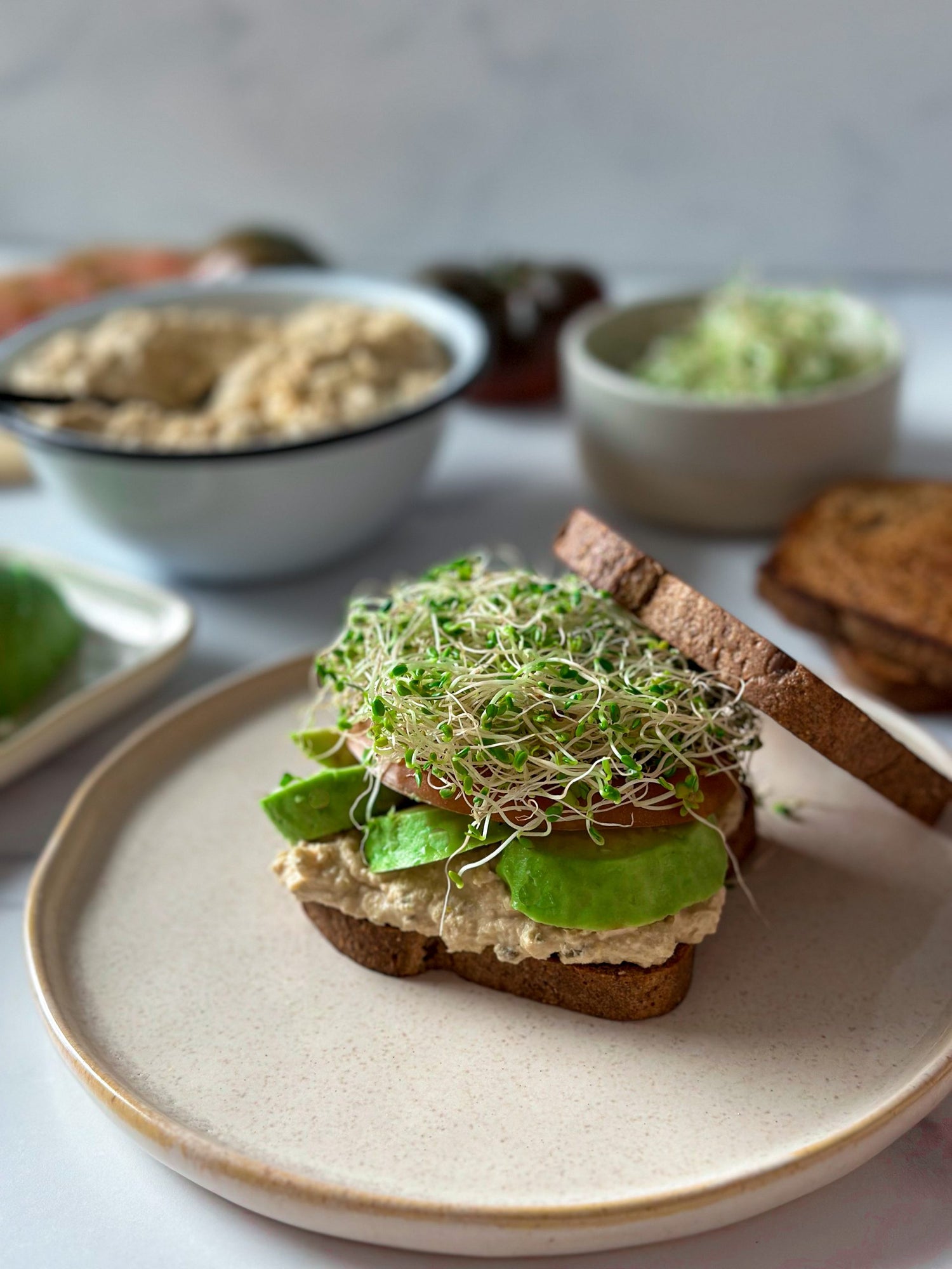 Simple Salmon Avocado Sandwich Easy Healthy Recipe