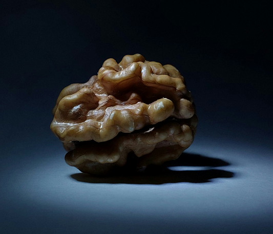 The Meal Formula That Helps Your Brain Age Better