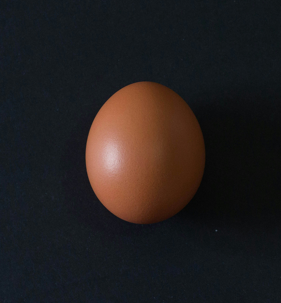 The Protein Myths That Are Holding You Back
