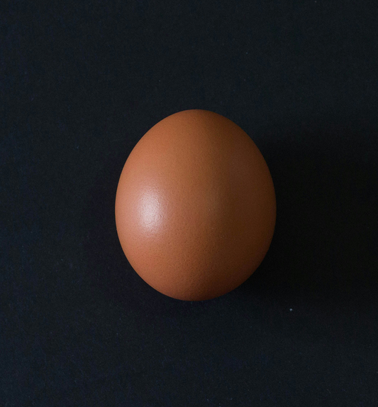 The Protein Myths That Are Holding You Back