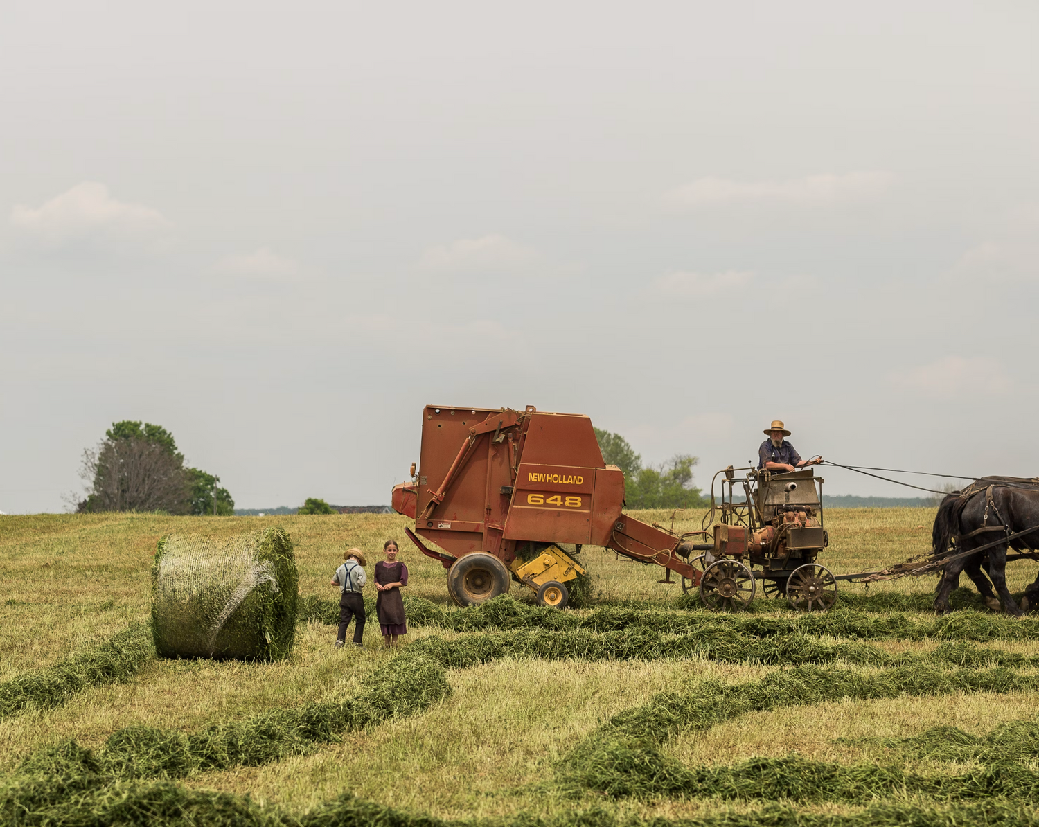 The Toxic Triad: How Big Food, Big Farming, and Big Pharma Spread Obesity, Diabetes, and Chronic Disease Across the Globe