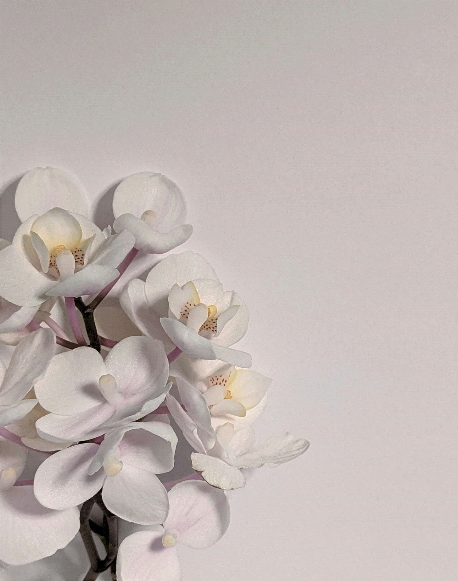 How to Help Your Body Eliminate Toxins