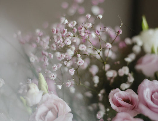 Office Hours: What’s Really Driving Infertility—and What You Can Do About It