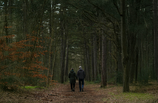 Is Your Immune System Secretly Aging You? Here’s How to Stop It.