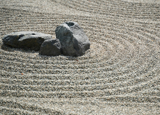 Why Gratitude Might Be the Most Underrated Longevity Tool