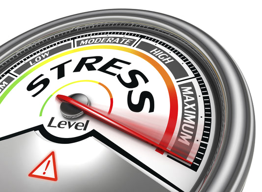 The Doctor's Farmacy Episode 693: How Chronic Stress Creates Hormonal Havoc