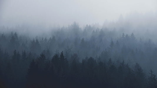 The Root Causes and Fixes for Brain Fog