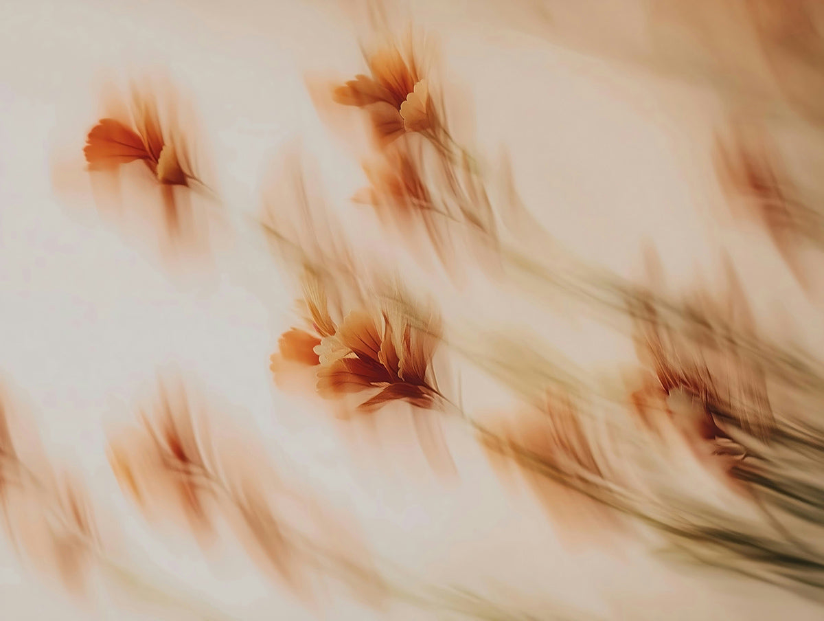 Menopause: What Every Woman Needs to Know