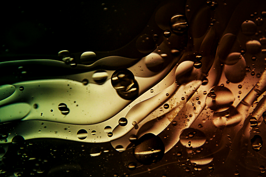 Are Seed Oils Bad for You? Here’s What You Need to Know