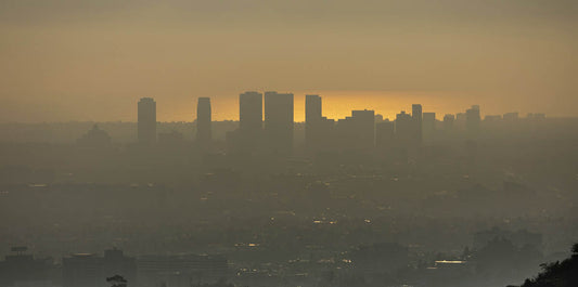 Office Hours: The Truth About Environmental Toxins (And How to Protect Yourself)