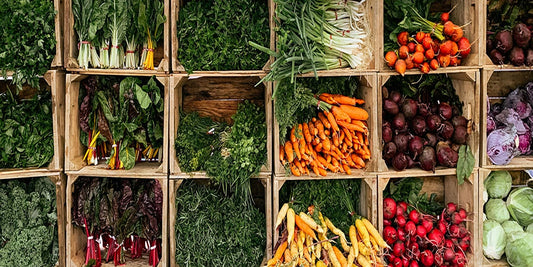 Starving Cancer: The Hidden Power of Food, Fasting, and the Body’s Inner Terrain