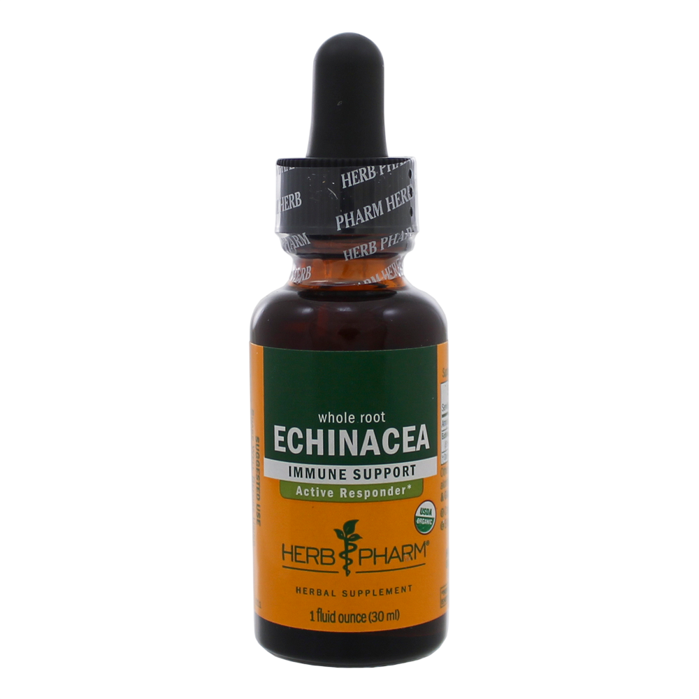 Echinacea