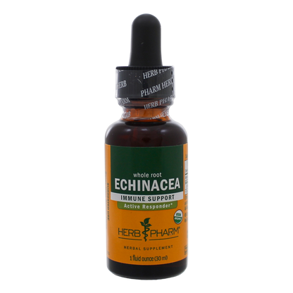 Echinacea