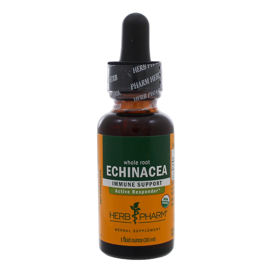 Echinacea