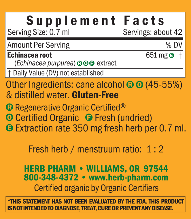 Echinacea