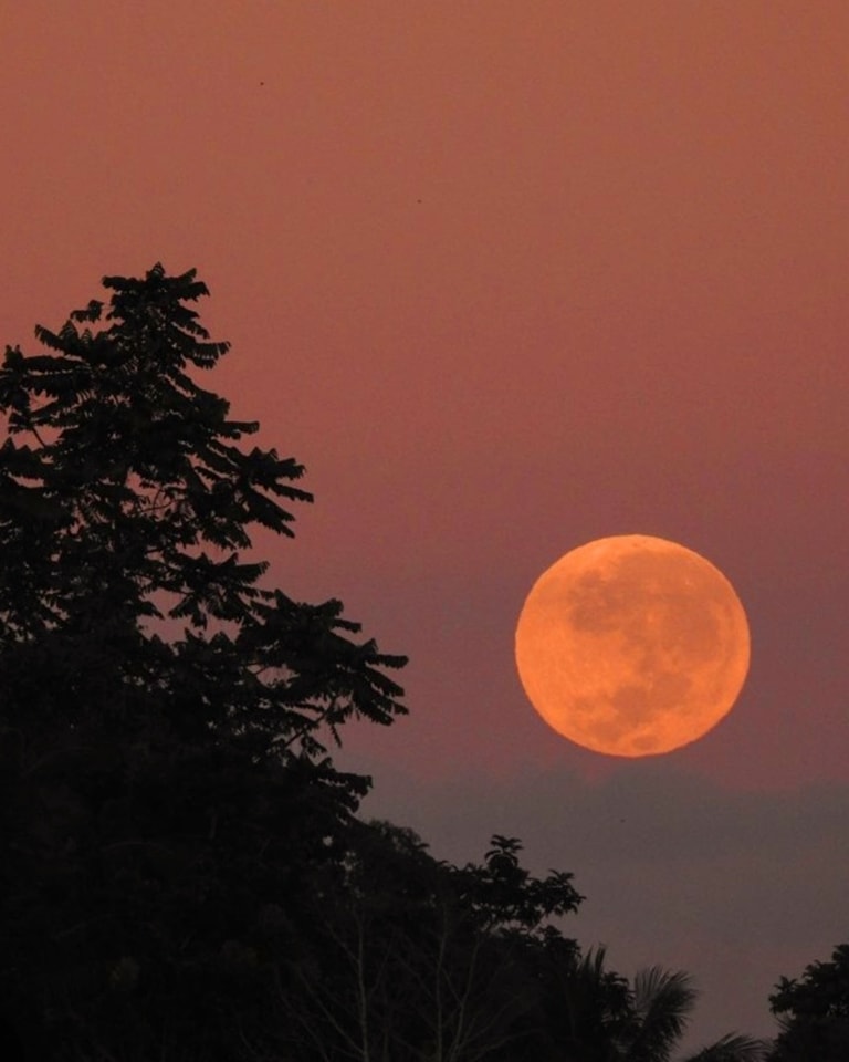 The Sanctuary at Sedona
