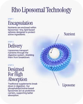 Liposomal Magnesium