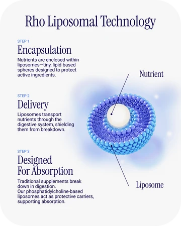 High Absorption Omega-3