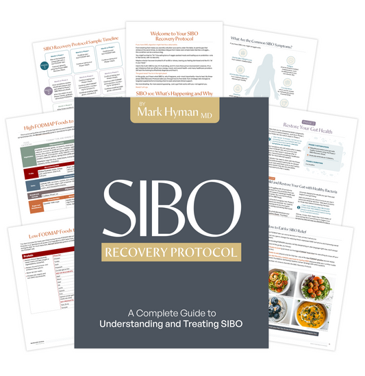 SIBO Recovery Protocol
