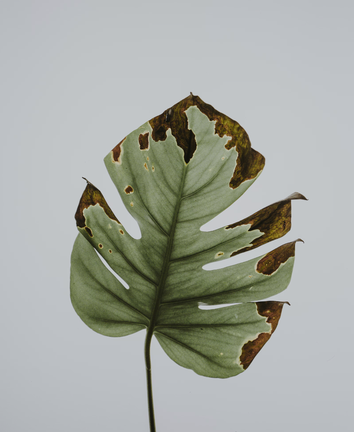 The UltraWellness Center - Mark Hyman, MD