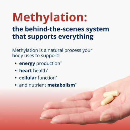 MethylCare 120 ct.