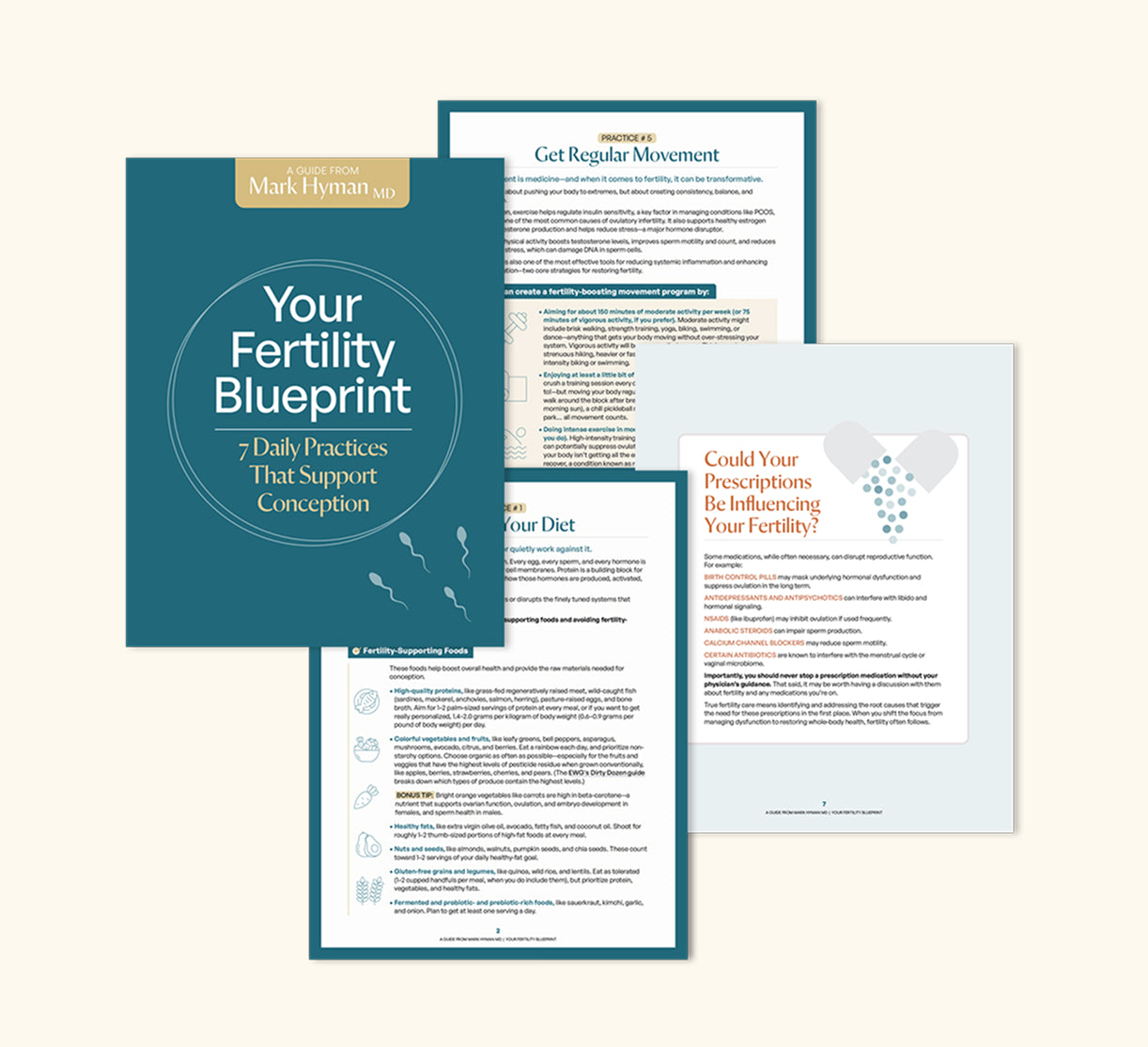 Your Fertility Blueprint: 7 Daily Practices That Support Conception