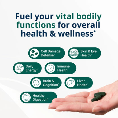 PhytoMulti® Multivitamin with Iron