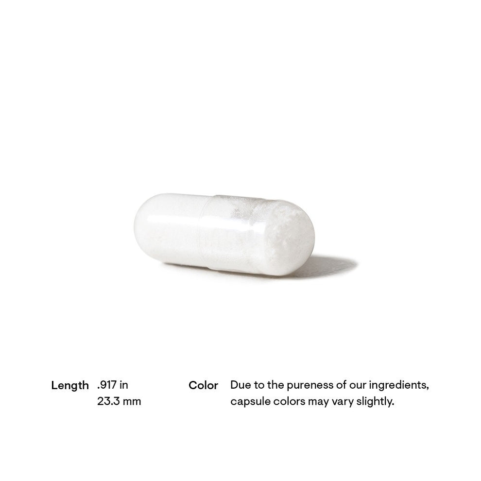 acetyl l carnitine drug interactions Role of L-carnitine in Cardiovascular Health: Literature Review Adverse Effects and Toxicity of
