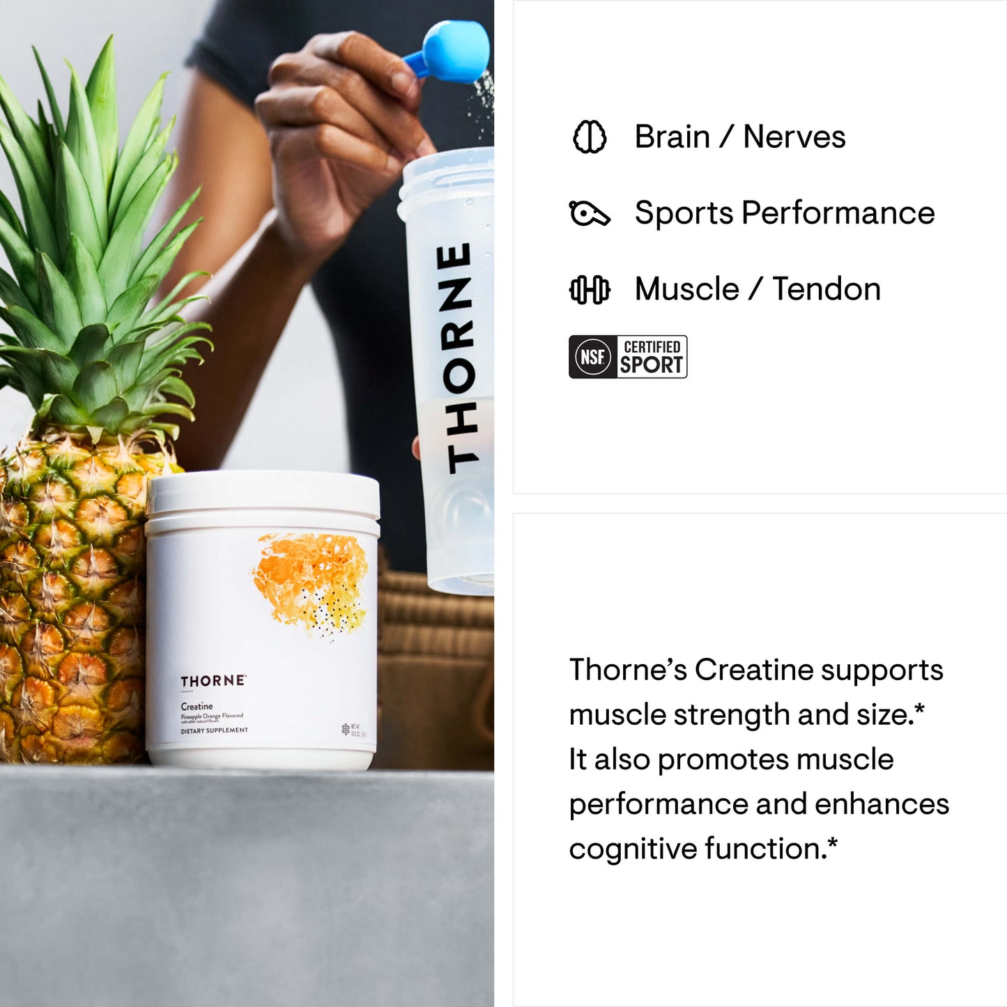 Creatine - Pineapple